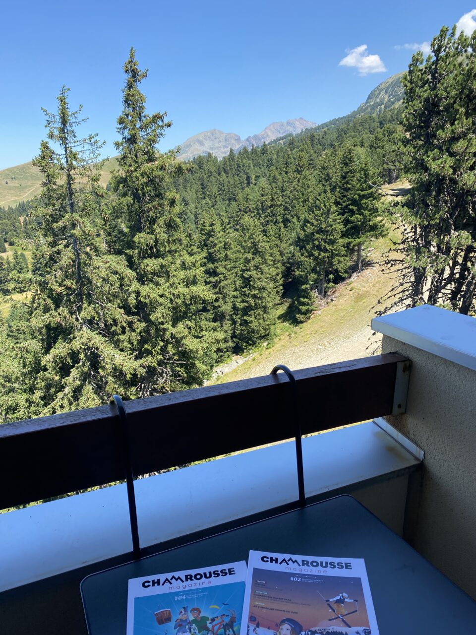 Appartement Edelweiss 426 @ Chamrousse - Image 22