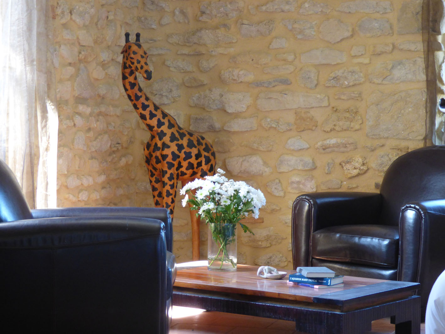 Mas Asvin - Chambre Girafe